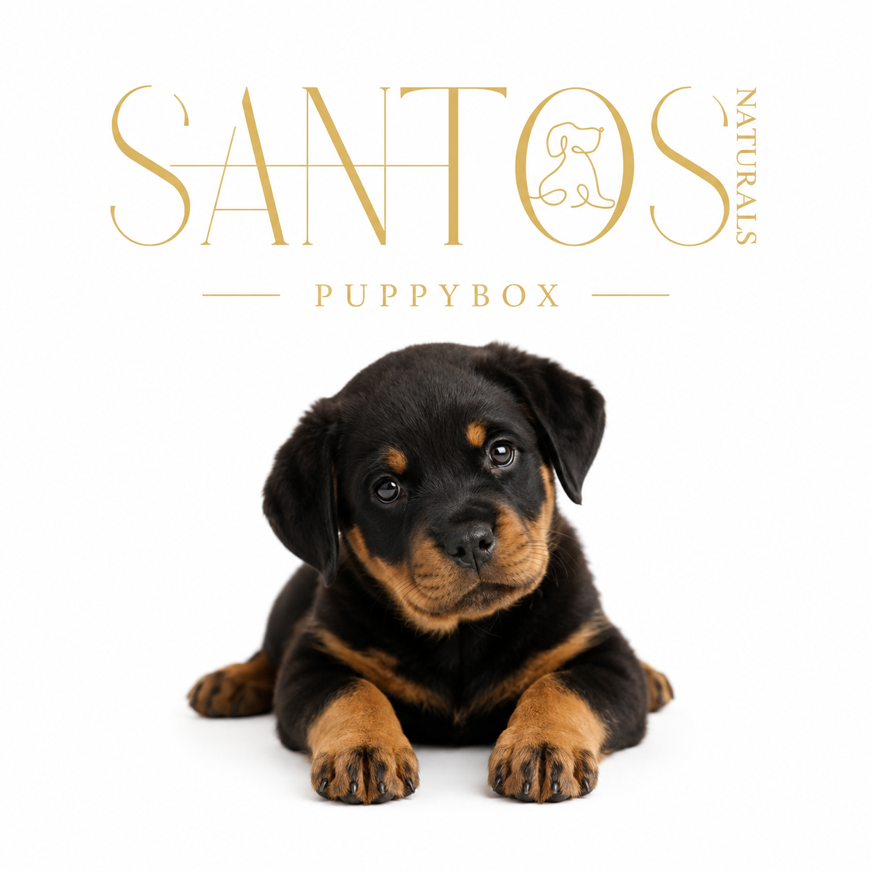 Puppy Snackbox