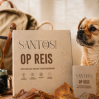 Santos' En Viaje