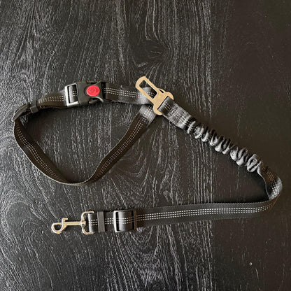 2-in-1 veiligheidsgordel