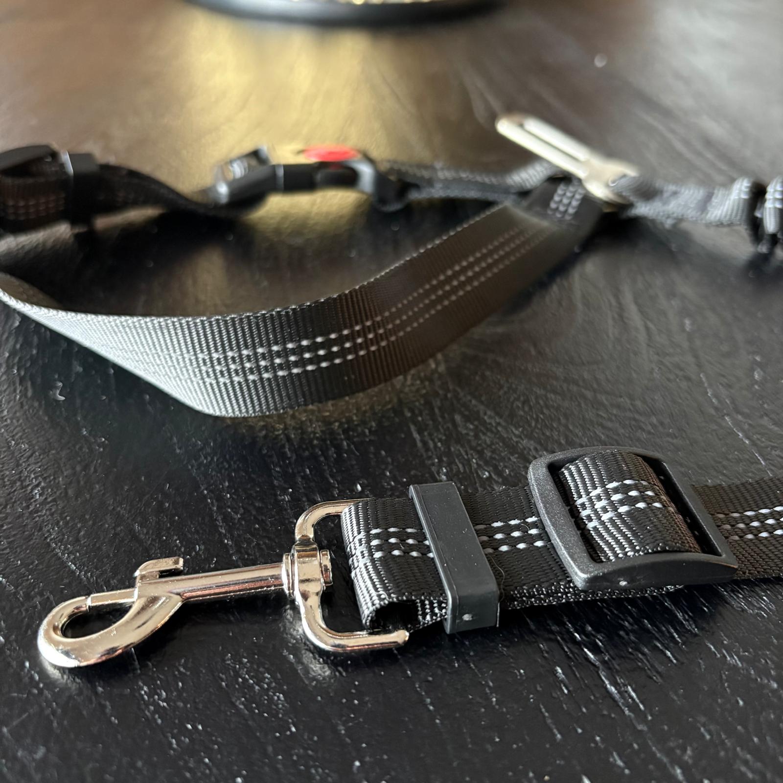 Cinturón de Seguridad 2 en 1