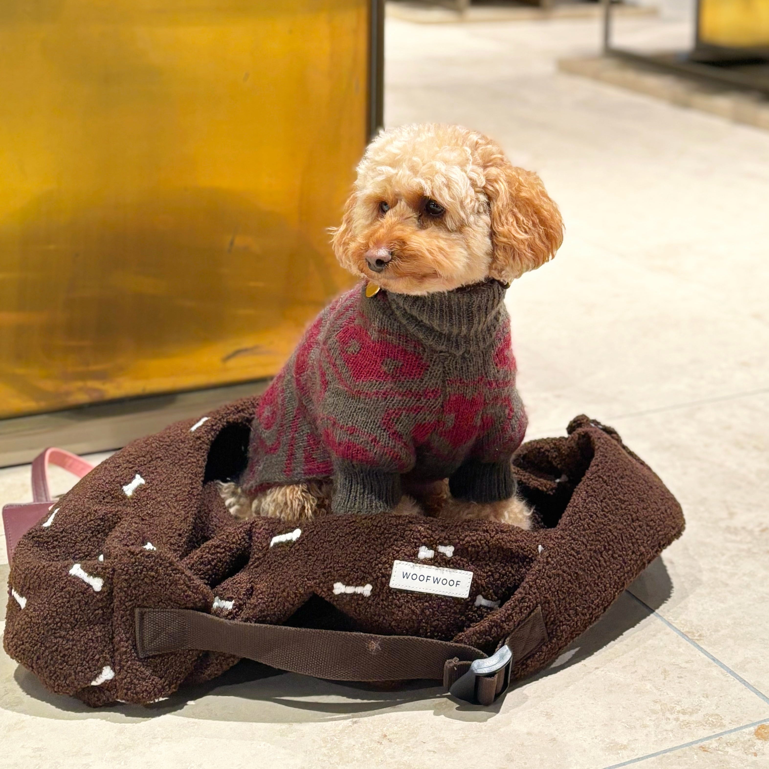 Honden Draagzak Bruin Botjes