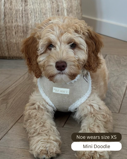 Exclusief: Harnas - Beige Bont