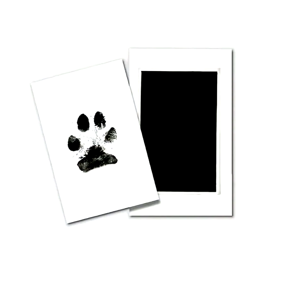 PawPrint!
