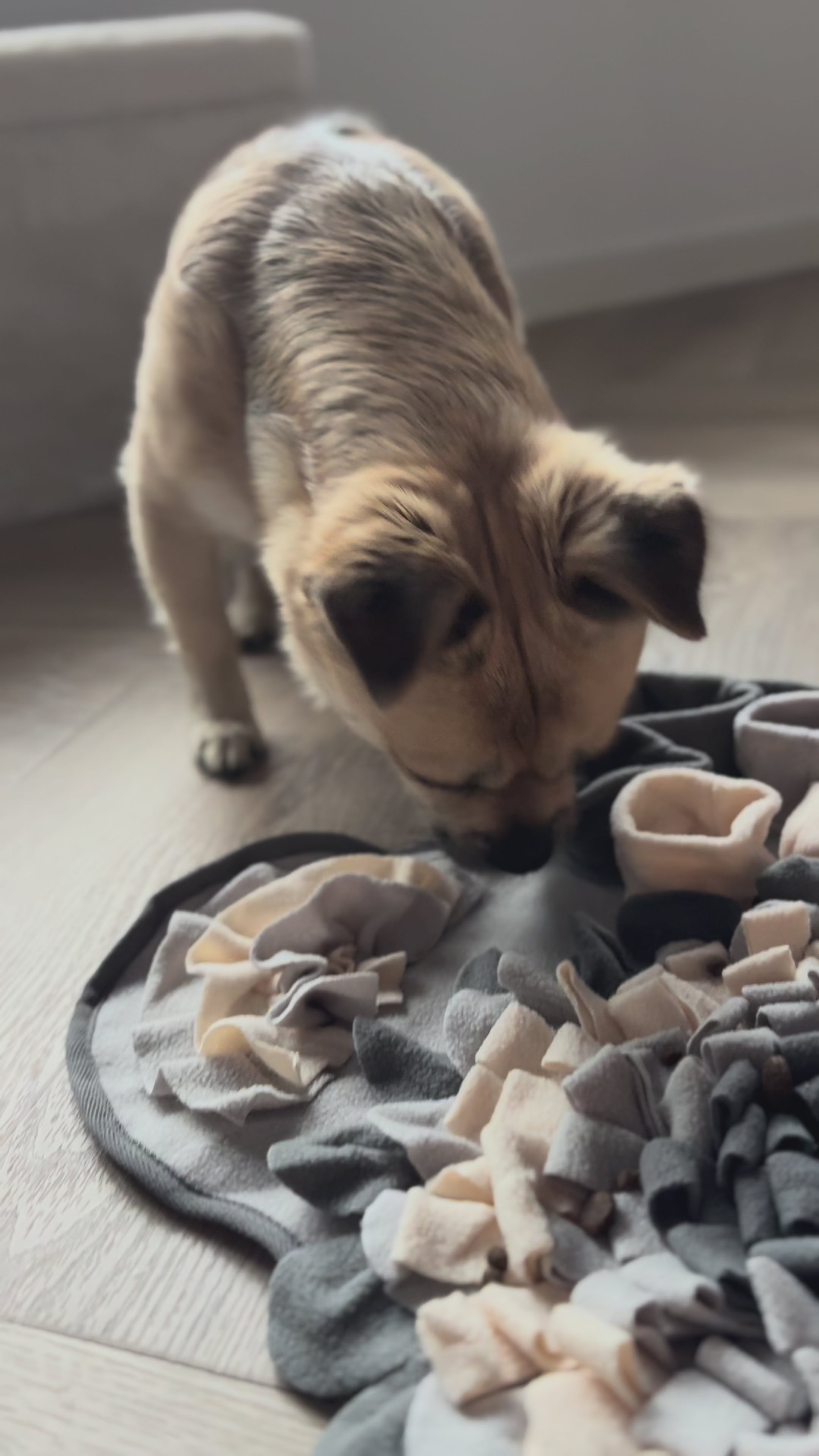 Snuffelmat met Anti-Slip Onderkant & Handvat