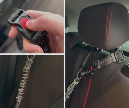 2-in-1 veiligheidsgordel