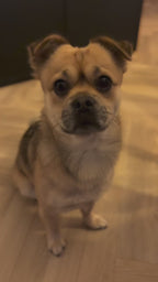 Turkey strips